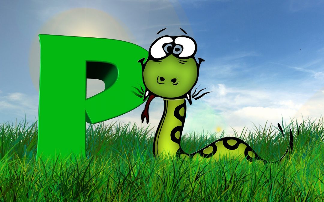 Las Tres “P” Propósito,Pasión Y Plan.